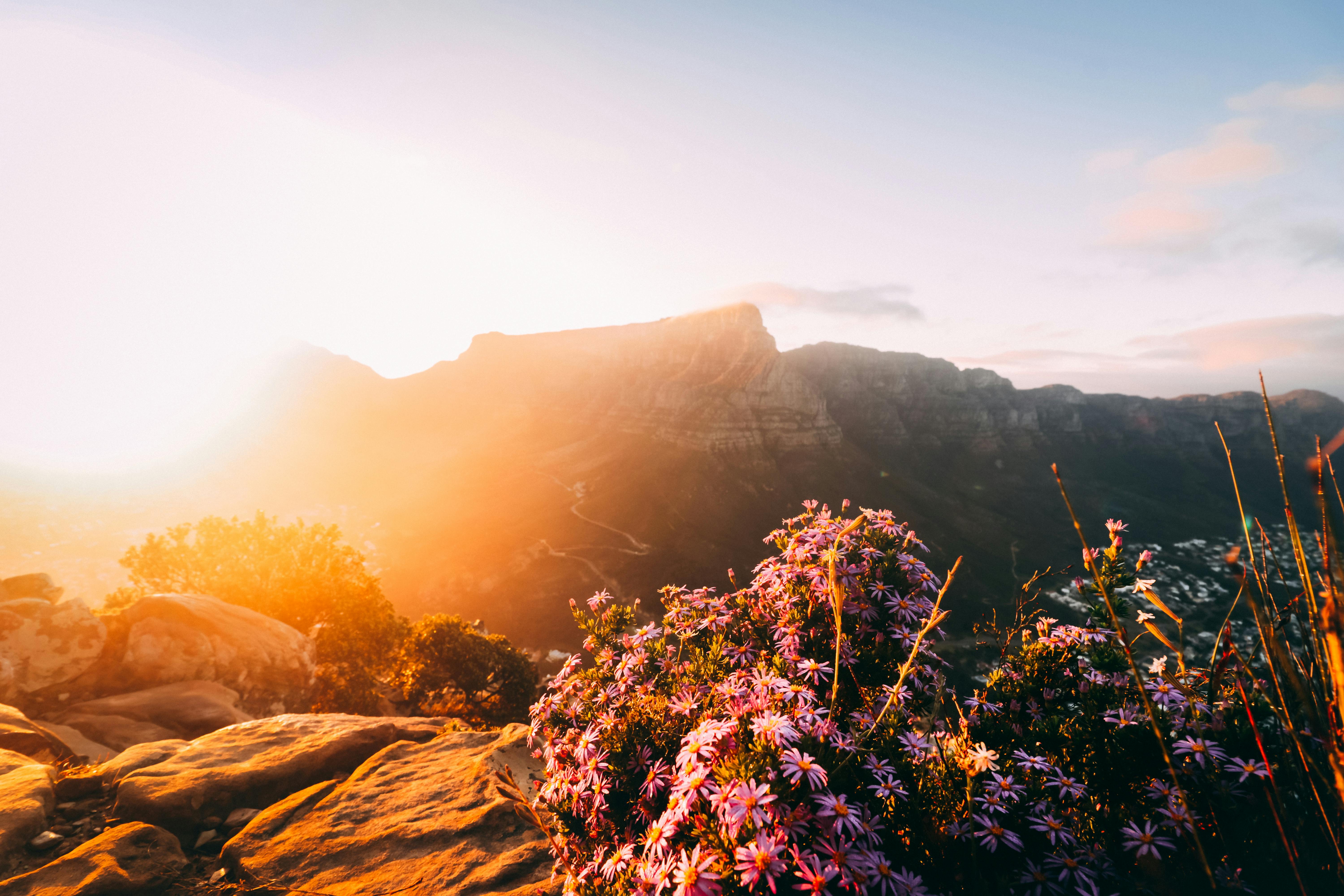 Cape Town Scenic